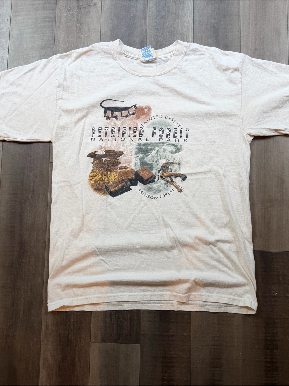 Vintage Petrified Forest National Park T Shirt Size Mens L 90s Nature Painted
